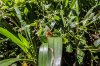 8/IMG_0377 site.jpg